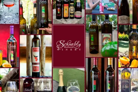 Vielfalt an Scheurebe Wein-Flaschen und Gläsern von Schnebly Redland's Winery, teils mit Früchten dekoriert.