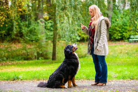 Kobieta uczy psa siadać w parku. Pies patrzy na nią z uwagą, czekając na kolejne polecenie.