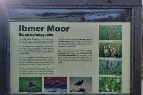 Das Ibmer Moor, ein Europaschutzgebiet, ist ein Paradies für seltene Vögel und Pflanzen. Hier brüten Brachvögel, Bekassinen und Kiebitze.