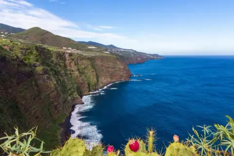 Acantilados verdes y el mar azul invitan a visitar La Palma. Cactus florecen en primer plano.
