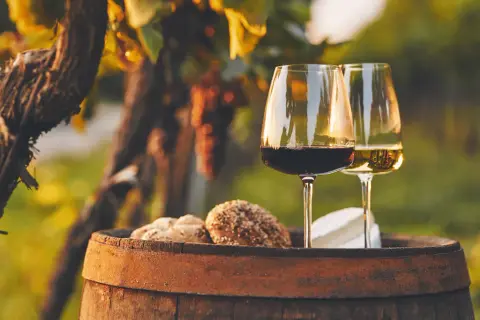 Zwei Gläser Wein, rot und weiß, stehen auf einem Holzfass neben Brot und Käse im Weinberg. Ein perfekter Regent Wein Moment.