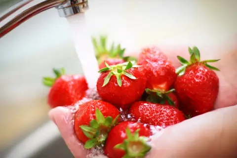 Frische Erdbeeren werden in den Händen unter fließendem Wasser gewaschen.
