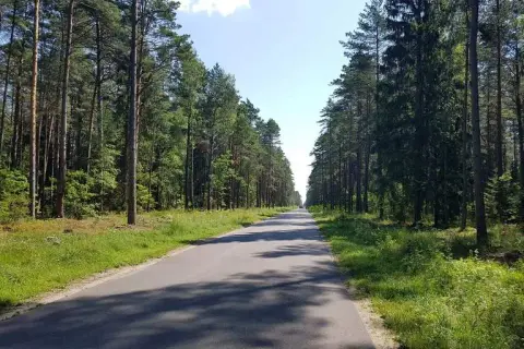 Wielbark atrakcje: odkryj niezapomniane miejsca i aktywności