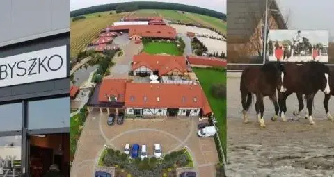 Stadnina Zbyszko: Kontrowersje, historia i oferta dla miłośników koni