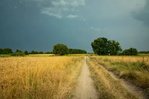 Jak to działa klimat i pogoda? Zrozum różnice i ich wpływ