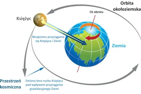 Czy grawitacja to tylko ziemski fenomen? Poznaj kosmiczną prawdę
