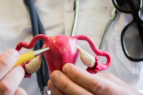 Jakie endometrium w owulacji? Klucz do udanej implantacji