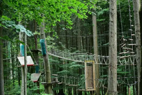 Park linowy w lesie z mostkami, drabinkami i platformami między drzewami.