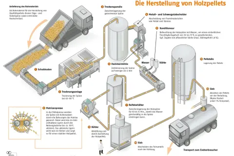 So werden Pellets hergestellt: Rohmaterial wird getrocknet, zerkleinert, konditioniert und dann in der Matrizenpresse zu Pellets geformt. Nach Kühlung und Siebung erfolgt die Lagerung im Pelletsilo.