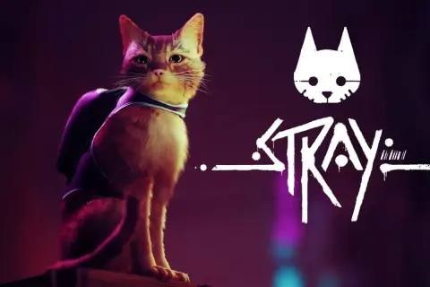 Rudy kot w plecaku, bohater gry Stray, czeka na przygodę. Ile godzin minie, zanim odkryje tajemnice cyberpunku?