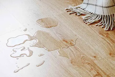Ein Hund markiert in fremder Wohnung. Wasserflecken auf hellem Holzboden, daneben eine Decke.