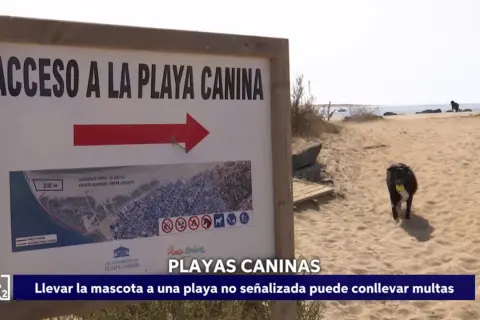 Un perro negro corre feliz por la arena con una pelota amarilla en la boca, cerca de un cartel que indica "Acceso a la Playa Canina". ¡Días perfectos para perros en la playa!
