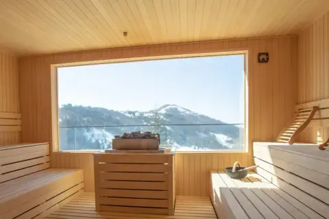 Was kostet eine Sauna im Keller? Kosten und wichtige Zusatzinformationen