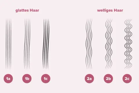 Vergleich von glattem und welligem Haar zur haardicke bestimmen. Verschiedene Abstufungen von 1a bis 2c.