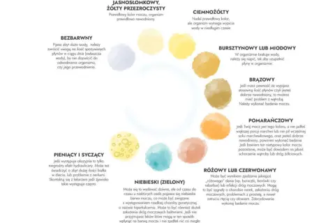 Jasnosłomkowy, żółty przezroczysty to prawidłowy kolor moczu, świadczący o dobrym nawodnieniu.