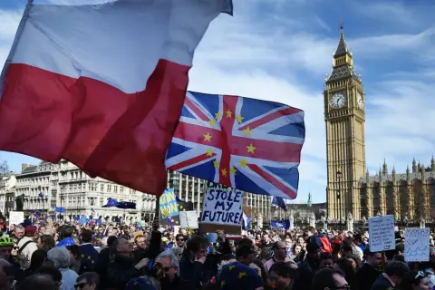 Polonia w Wielkiej Brytanii na demonstracji pod Parlamentem. Flaga Polski obok flagi UE i Big Bena.