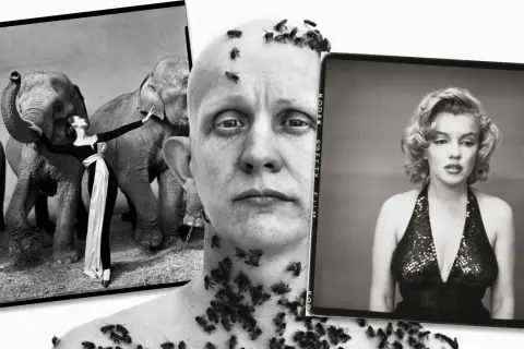 Un collage de imágenes icónicas de Richard Avedon: una mujer con elefantes, un hombre cubierto de abejas y Marilyn Monroe.