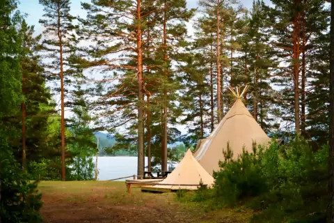 Två tält står uppställda vid en sjö, omgivna av höga tallar. En perfekt plats för naturcamping lagom.