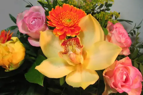 Kwiaty na imieniny Marii: żółta orchidea, różowe róże i pomarańczowa gerbera, ozdobione kroplami rosy.