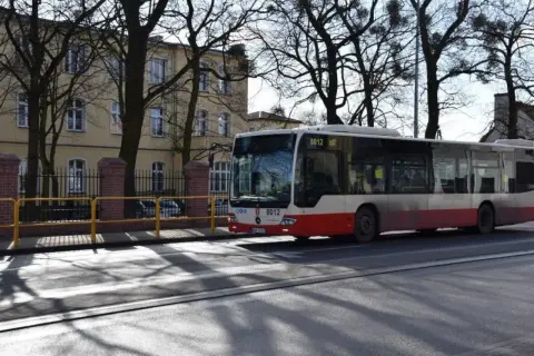 Autobus linii 107 w Pruszczu Gdańskim zbliża się do przejścia dla pieszych.