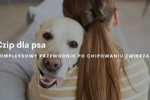 Jak działa chip dla psa? Kluczowe informacje o mikrochipach i ich zaletach