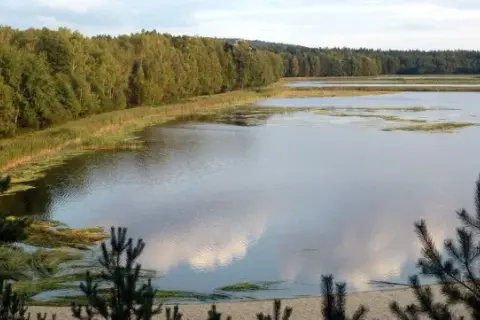 Chrzypsko Wielkie atrakcje - odkryj ukryte skarby tej miejscowości