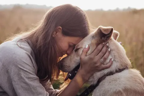 Tiefe **Bindung Hund Mensch**: Eine Frau umarmt ihren Hund innig in einem Feld. Ihre Köpfe berühren sich, ein Zeichen tiefer Verbundenheit.