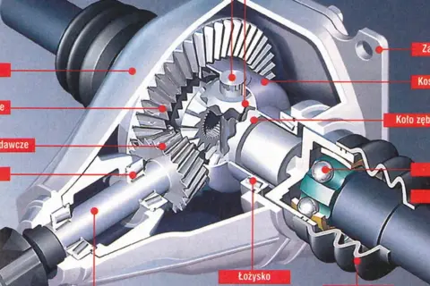 Przekrój mechanizmu różnicowego (dyferencjał) z widocznymi kołami zębatymi, łożyskami i półosią.