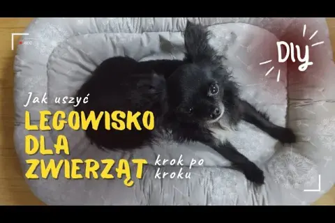 Własnoręczne legowisko dla psa? Poradnik DIY bez szycia i z recyklingu