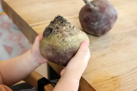 Kleine Hände halten eine rote Bete. Ein weiteres Exemplar liegt daneben auf dem Holztisch.