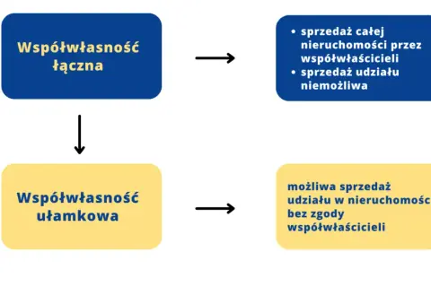 Współwłaściciel nieruchomości: Co możesz, a czego nie? Poznaj prawa!