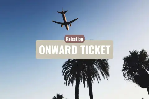 Flugzeug über Palmen, Reise-Tipp: Onward Ticket Erfahrungen für deine nächste Reise.