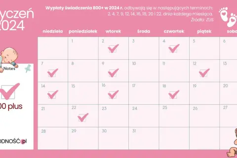 Od kiedy 800 plus? Data, wnioski i wypłaty ZUS.