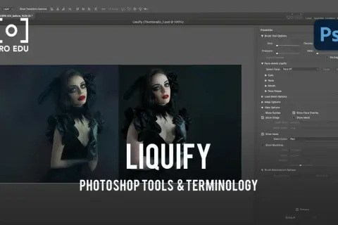 Interface Photoshop avec l'outil Fluidité activé, montrant des options pour retoucher un visage.