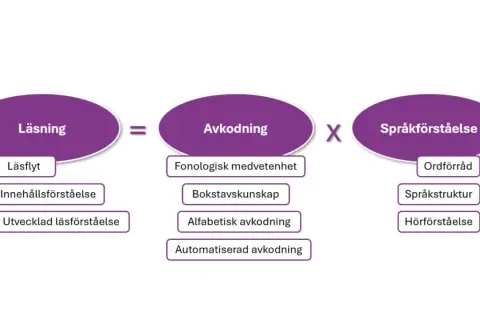 Diagram visar att läsning är en procedure svenska som bygger på avkodning och språkförståelse.