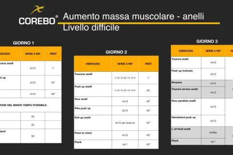 Programma di allenamento full body per aumento massa muscolare con anelli, livello difficile. Tre giorni di esercizi intensi.