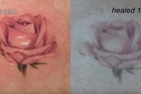 Rosa de microrealismo tattoo antes y después. La imagen muestra la misma rosa, primero recién hecha y luego curada tras un año, con una sutil pérdida de color.