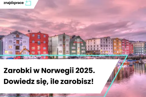 Norwegia: Zarobki weterynarza czy warto emigrować?