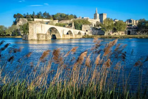 Le Pont d'Avignon et le Palais des Papes se reflètent dans le Rhône. Une belle balade à faire autour de moi, avec des roseaux dansant au vent.