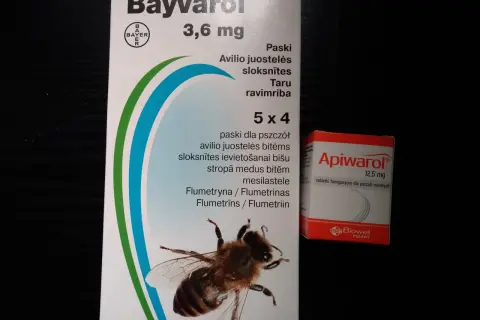 Gdzie kupić leki na warrozę? Legalnie i bezpiecznie dla pszczół!