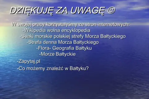 Czym jest morze? Definicja, różnice i ochrona Bałtyku