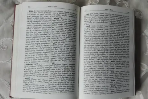 Słownik etymologiczny Brücknera: Klucz do polskiej historii języka