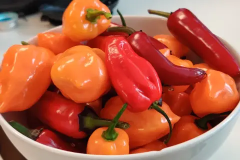En skål med färgglada chilipeppar, både runda orange och avlånga röda. Dessa kan ha högt **chilli scoville**-värde.