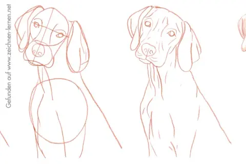 Hund malen einfach: Schritt-für-Schritt-Anleitung für Anfänger