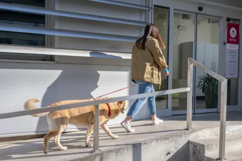 Frau mit Hund betritt Tierarztpraxis. Eine Tabelle mit tierarztkosten hund ist vielleicht im Inneren zu finden.