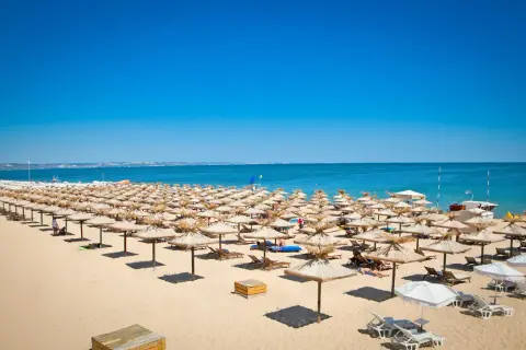 Słoneczny brzeg plaża z rzędami parasoli i leżaków, w tle błękitne morze i niebo.