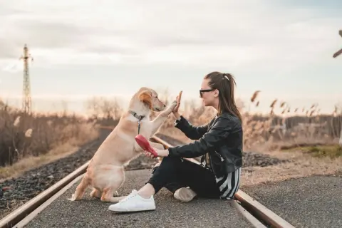 Joven da la mano a su perro en las vías del tren. Una escena que evoca la idea de cuidar mascotas a cambio de alojamiento, un viaje inesperado.