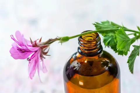 Olejek z geranium jak stosować: skuteczne metody i porady dla zdrowia