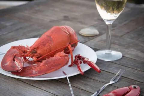 En hel, röd hummer på en tallrik, redo att avnjutas med ett glas vitt vin. Perfekt för en sommarkväll.