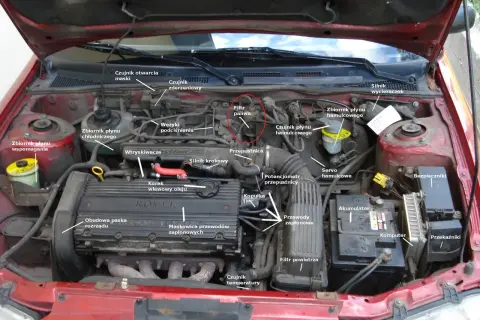 Silnik Toyota Yaris 1.3 benzyna, zaznaczony filtr paliwa. Widok komory silnika z elementami: akumulator, bezpieczniki, komputer, przekaźniki.